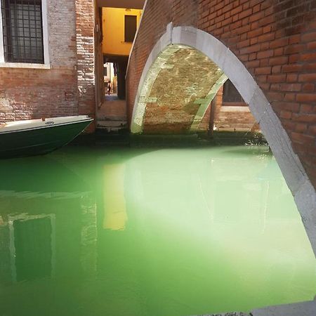 The Secret Garden In The Very Heart Of Venedig Exteriör bild