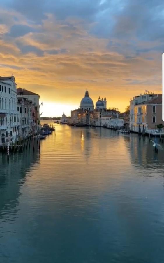 The Secret Garden In The Very Heart Of Venedig Exteriör bild
